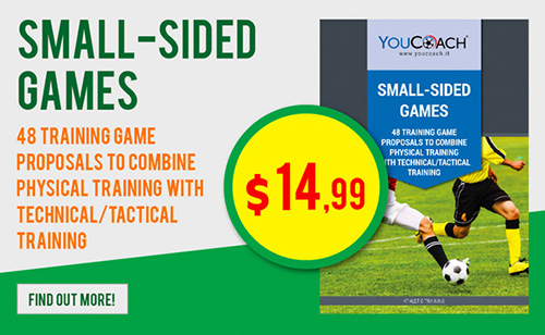 Small-Sided games